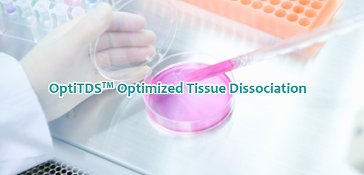 OptiTDS - OptiTDS™, is a mixture of tissue dissociation enzymes/reagents 