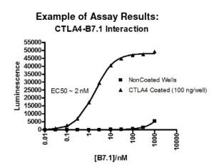 CTLA4-B7-1 screening assay test - Luminescence 
